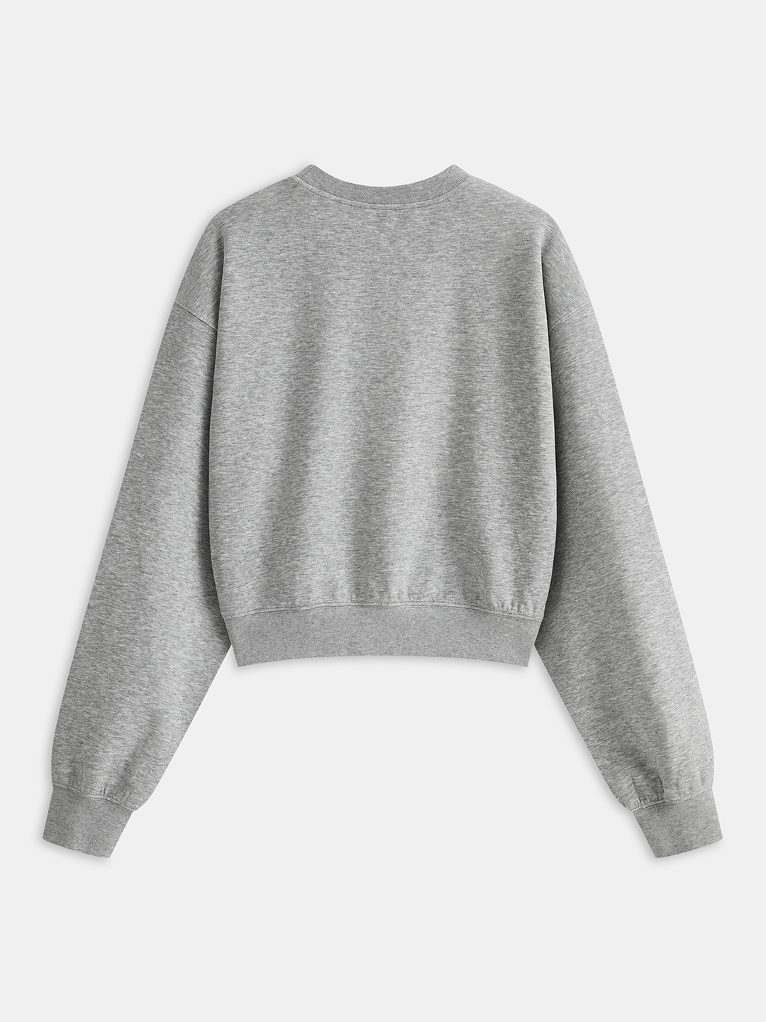 Floral Applique Cropped Sweatshirt